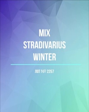 Купить STRADIVARIUS Winter mix#15 кг, ЛОТ №2257 оптом в Воронеже и Воронежской области