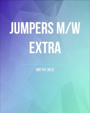 Купить Джемпер муж+жен экстра#15 кг , Лот№2612 оптом в Воронеже и Воронежской области