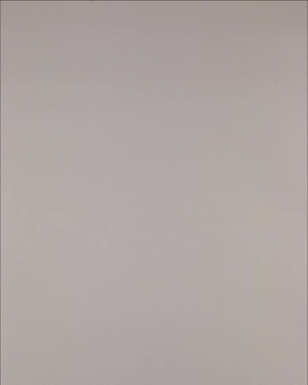 Фотография  495 - Нижнее белье Bon Prix дети#50 шт, ЛОТ №3242 оптом в Воронеже и Воронежской области