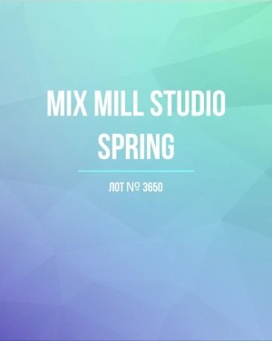 Купить MILL STUDIO Spring mix#15 кг, ЛОТ №3650 оптом в Воронеже и Воронежской области