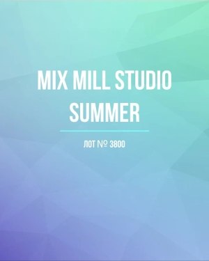 Купить MILL STUDIO Summer mix#15 кг, ЛОТ №3800 оптом в Воронеже и Воронежской области