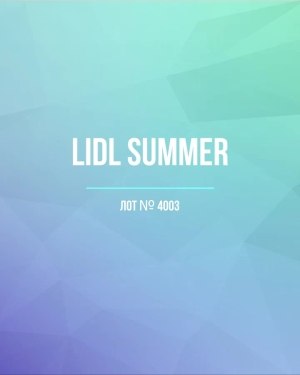 Купить LIDL Summer#20 кг, ЛОТ №4003 оптом в Воронеже и Воронежской области