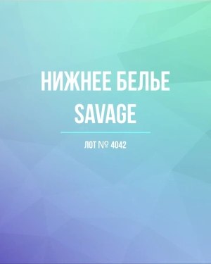 Купить Нижнее белье Savage#50 шт, ЛОТ №4042 оптом в Воронеже и Воронежской области