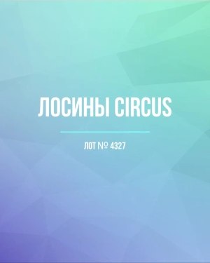 Купить Лосины CIRCUS #6,2 кг, ЛОТ №4327 оптом в Воронеже и Воронежской области