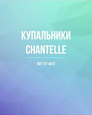 Купить Купальники Chantelle#23 шт, ЛОТ №4412 оптом в Воронеже и Воронежской области