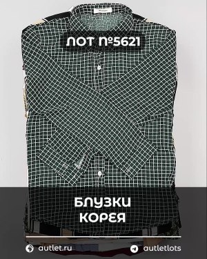 Купить Блузки Корея#20 шт, ЛОТ №5621 оптом в Воронеже и Воронежской области