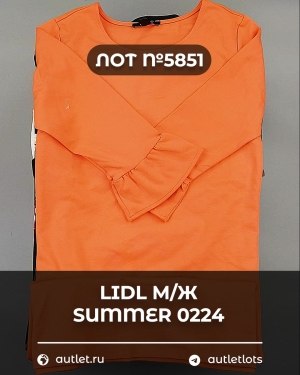 Купить LIDL Summer м/ж 022024#14 кг, ЛОТ №5851 оптом в Воронеже и Воронежской области