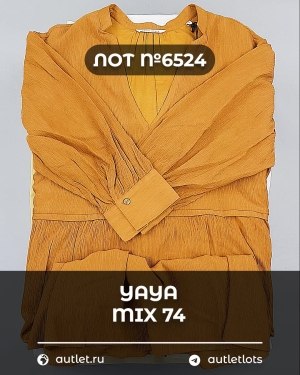 Купить YA YA 062024#39 шт, ЛОТ №6524 оптом в Воронеже и Воронежской области