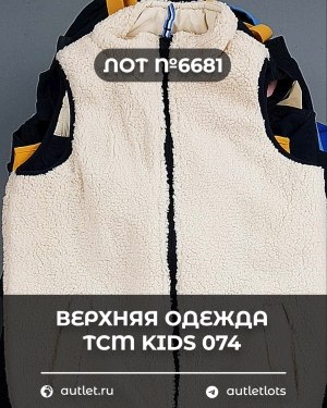 Купить Верхняя одежда TCM kids 074#7 кг, ЛОТ №6681 оптом в Воронеже и Воронежской области