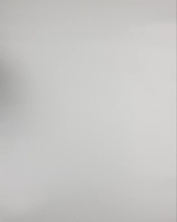 Фотография  267 - Верхняя одежда Дания#10,2 кг ЛОТ №6911 оптом в Воронеже и Воронежской области