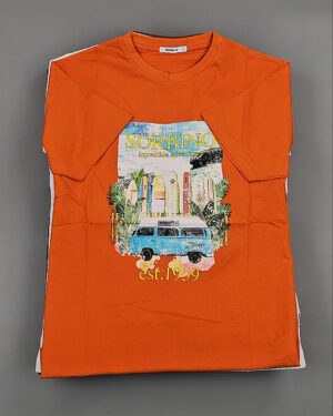 Купить Футболки мужские C-3141 (MEN T-shirt Sorbino) #4,8 кг оптом в Воронеже и Воронежской области